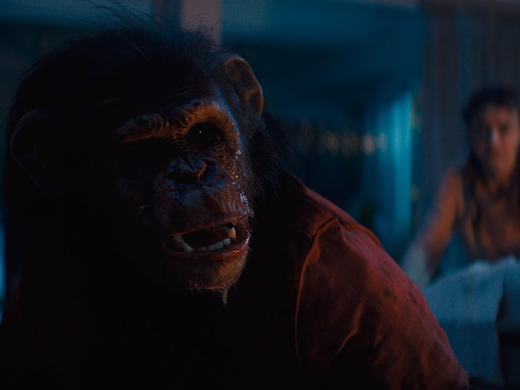 Primate