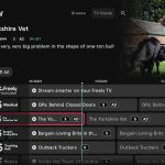 5's new channels on Freely