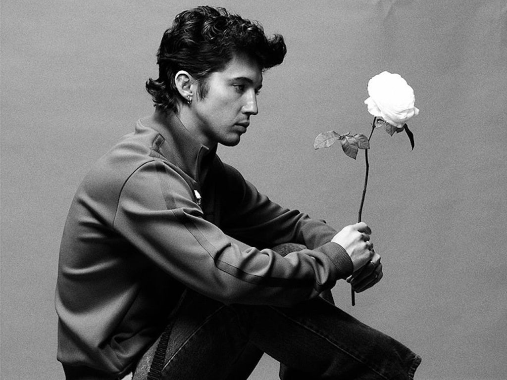 Troye Sivan artwork for She's The Best