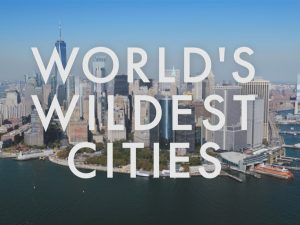 World's Wildest Cities