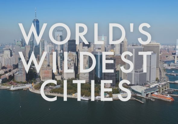 World's Wildest Cities