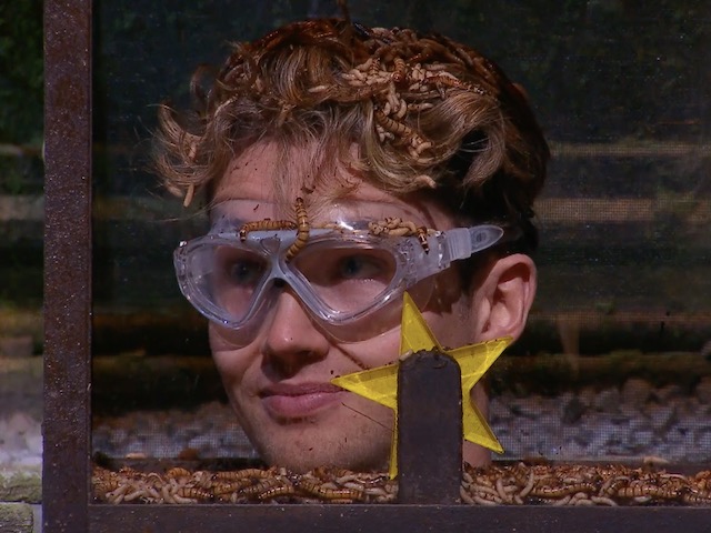 AJ Pritchard for I'm A Celebrity