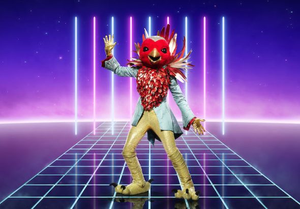 Robin for The Masked Singer