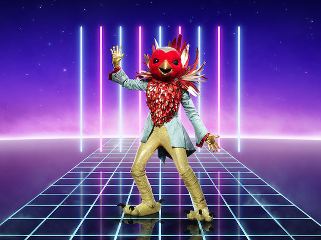Robin for The Masked Singer