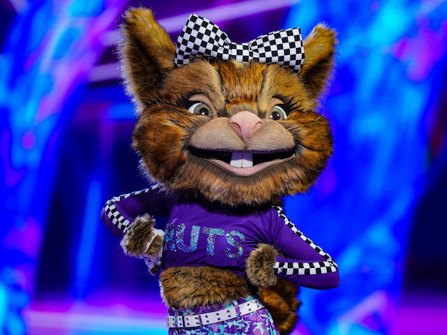Squirrel on The Masked Dancer