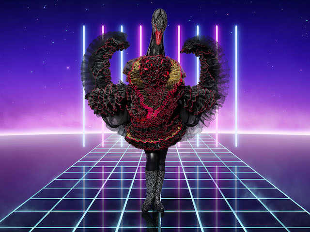 Swan for The Masked Singer