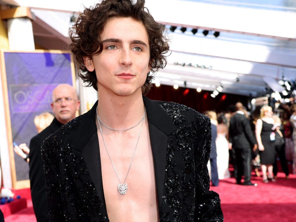 Timothee Chalamet pictured on March 27, 2022