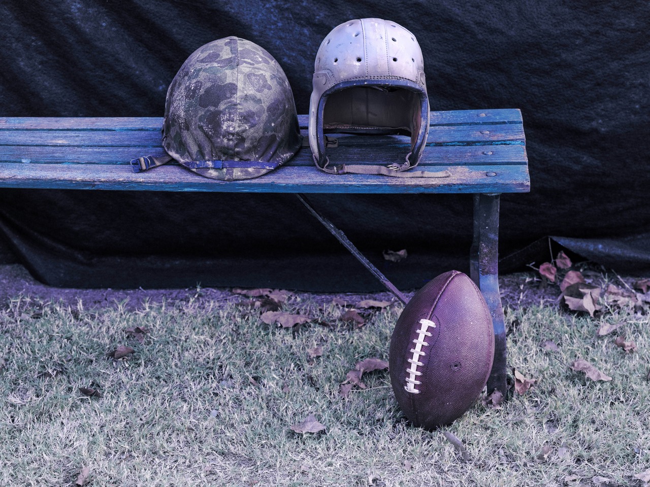 The Mosquito Bowl
