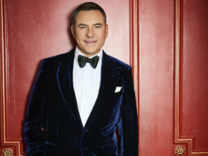 David Walliams on Britain's Got Talent