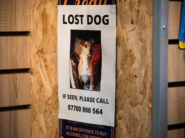 A missing dog poster on EastEnders on March 18, 2021