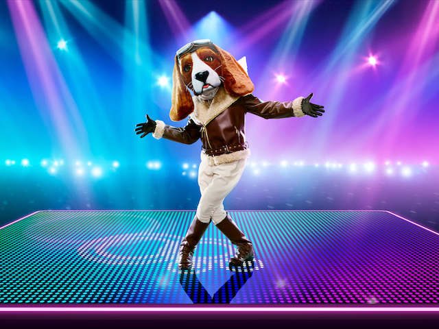 Beagle for The Masked Dancer
