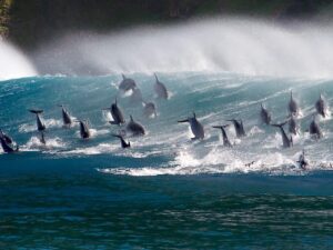 Blue Planet
