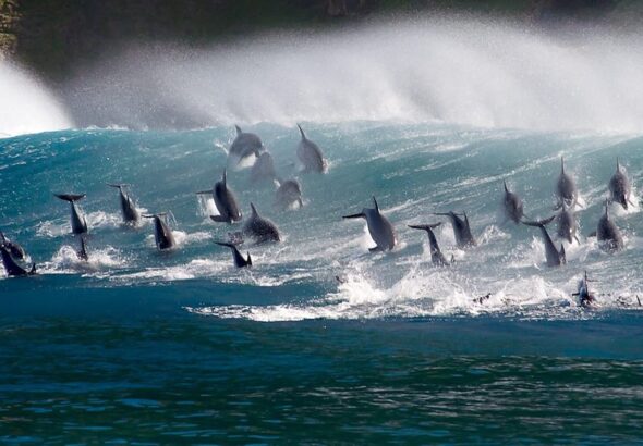 Blue Planet