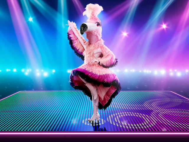 Flamingo for The Masked Dancer