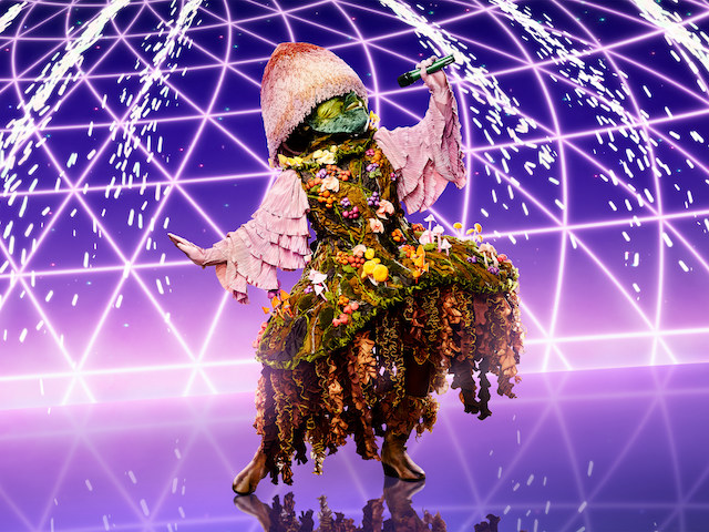 Mushroom for The Masked Singer